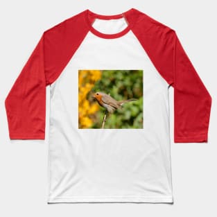 r719/  7 " Les Oiseaux du jardin " simply life " Simplement la Vie " - photo Okaio Créations - Olavia-Olao Baseball T-Shirt